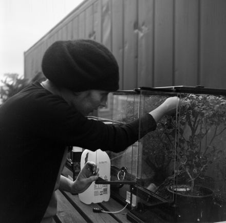 Peta Feeds The Geckos