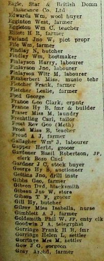 New Zealand Post Office Directory 1921 Levin eag-gra