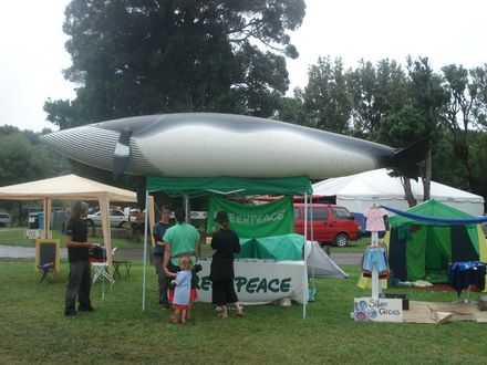 Greenpeace stall