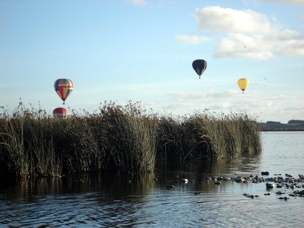 Friday Afternoon - Balloons low over Lake Horowhenua - Resource cover image