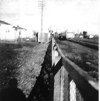 Train at Shannon Railway Station