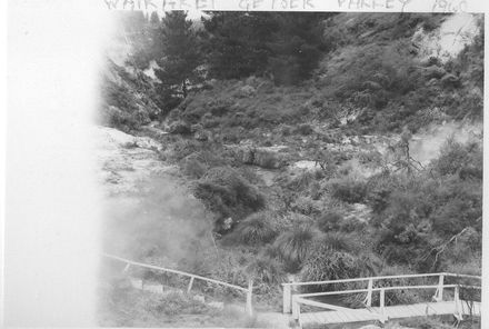 Wairakei Geyser Valley 1960