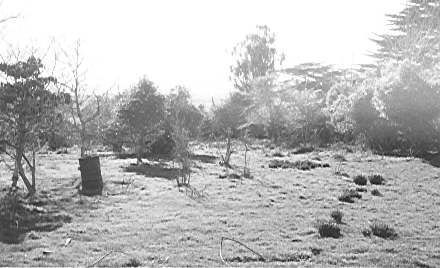 Former site of Nga Tawa School for Girls, Shannon