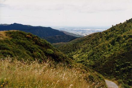 Westward view from Mangahao Dam