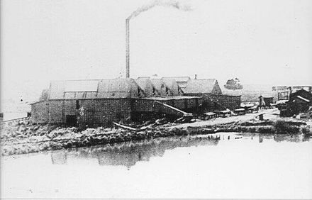 'Stripping Shed, Miranui' Mill, Shannon