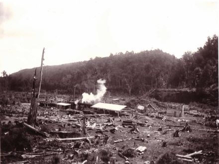 Bartholomew's sawmill, Makahika Valley, c.1906