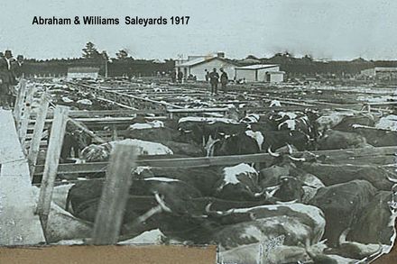 Abraham and Williams sale Yard in Levin 1917