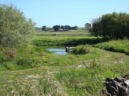 Te Awahou Stream joining the Manawatu River 2010 - Resource cover image