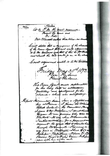 30 May 1873 - Resource cover image