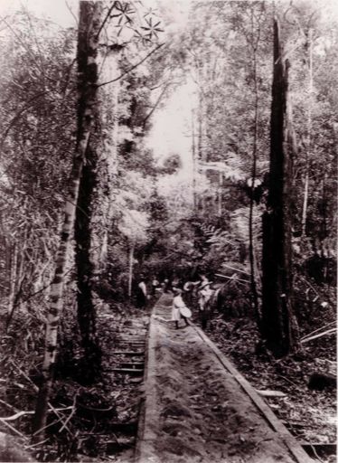 Bartholomew & Dunn tramline, W.G. Adkin farm, c.1888-95