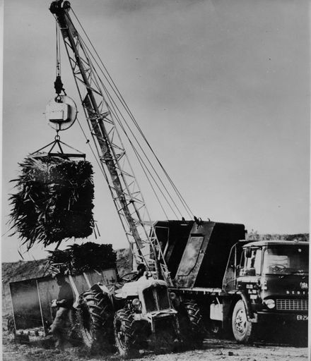 Loading Bales of Flax Leaves