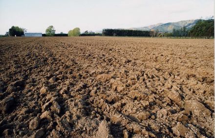 Ploughed Fields, Levin
