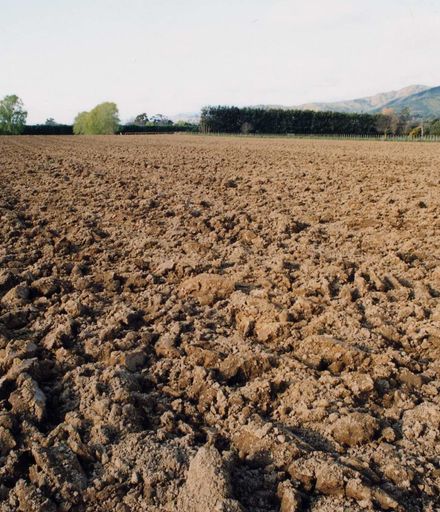 Ploughed Fields, Levin