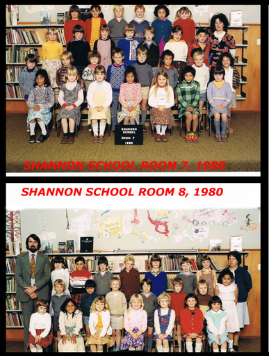 Shannon School 1980