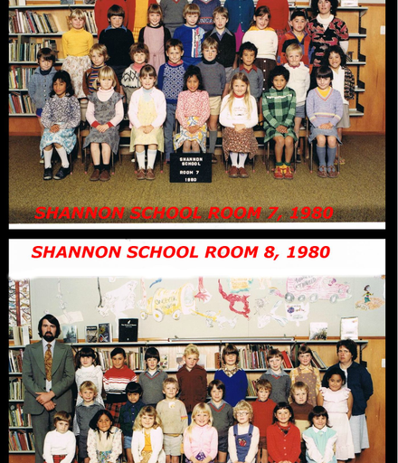 Shannon School 1980
