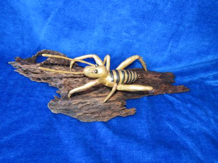 Weta - Resource cover image