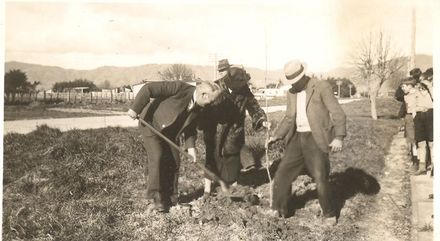 Tree planting - Resource cover image