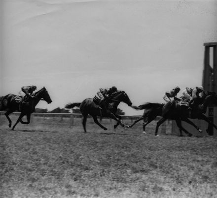 Foxton Horse "Pay Off" Winning at Woodville