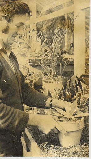 Mr Herlihy, Exotic Plant Hire, Levin, 1971 - Resource cover image