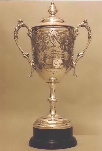 Trophy - Silver Cup (with handles and top) mounted on black base and inscribed