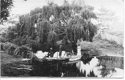 Footbridge on Hokio Stream