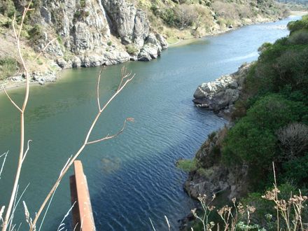 23 Manawatu Gorge widening out after the tunnels - Resource cover image
