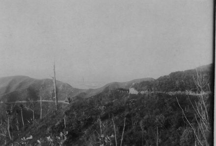 Heights Road, Shannon