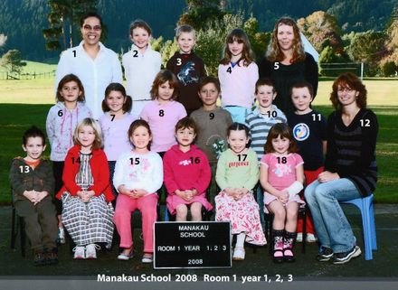 Manakau School  2008   Room 1  year 1,  2,  3 - Resource cover image