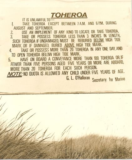 Toheroa Notice, Waitarere Beach, 1969