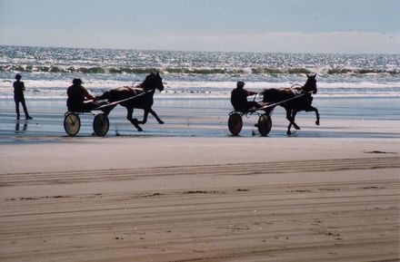 Trotters at Waitarere Beach
