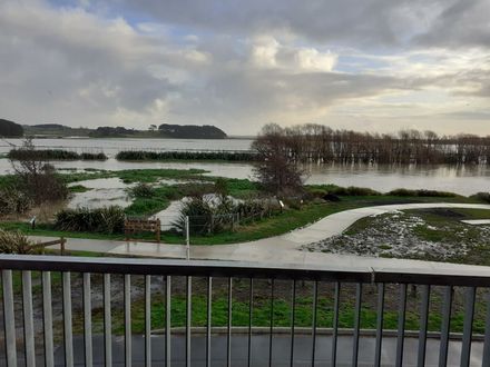 High water at the Foxton River Loop - Resource cover image
