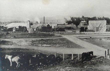 Prouse Sawmill 1895 - future H.E.P.B. depot area