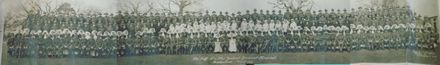 1st Division NZ Army 1914 - Photograph