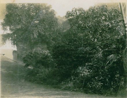 Denton Family Lawn north side