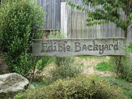 Edible Backyard sign Garden 6