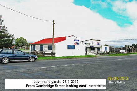 Levin Sale Yards 2013  from Cambridge Street looking east  no 102 - Resource cover image