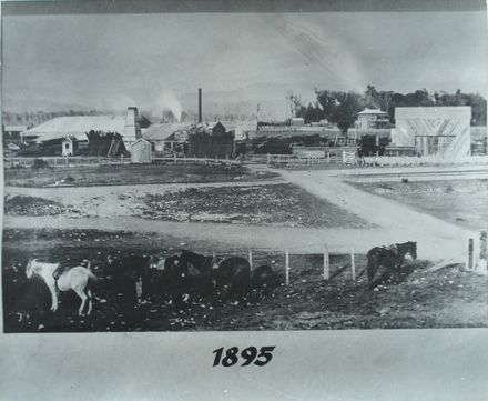 Prouse Brothers Sawmill, Weraroa, 1895