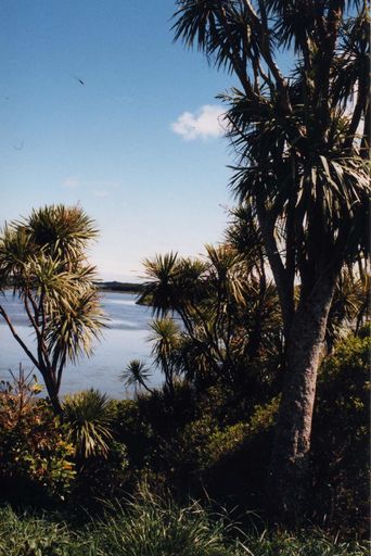 Lake Papaitonga