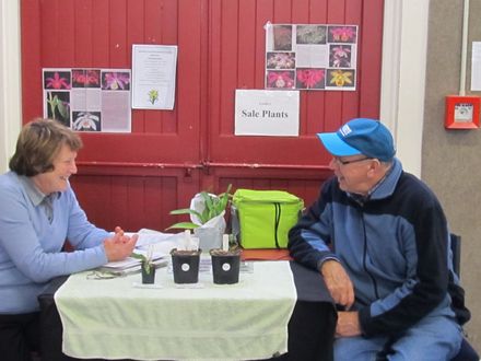 The Levin Orchid society show August 2012 0250 - Resource cover image