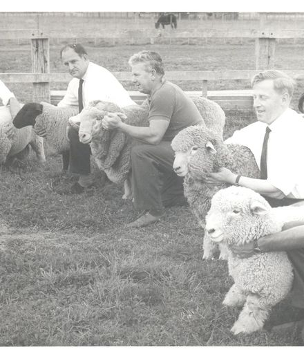 Five men (unidentified) each holding different breed of sheep