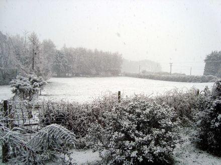 Coming home to snow on the front paddock