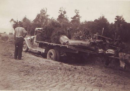 Loading dead trees with roots onto truck, view from back