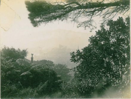 Overlook of Central Wellington