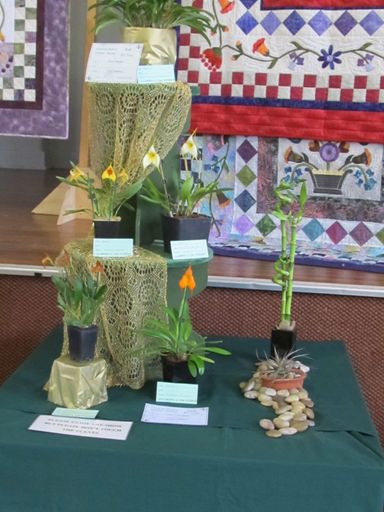 The Levin Orchid society show August 2012 0252 - Resource cover image