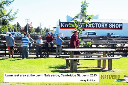 Lawn rest area at the Levin Sale yards, Cambridge St. Levin 2013 - Resource cover image