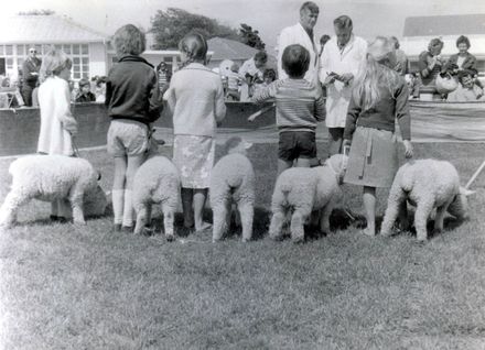 Pet lamb judging, Agriculture Day, Shannon School, 1980's