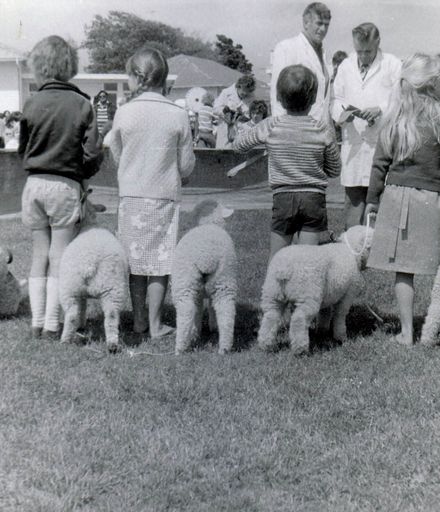 Pet lamb judging, Agriculture Day, Shannon School, 1980's