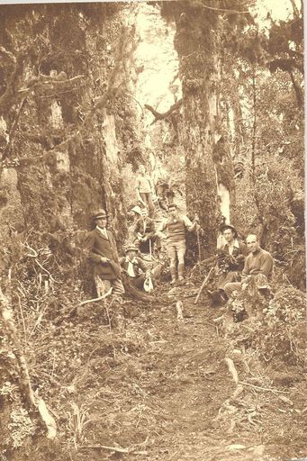 Leslie Adkin & others - bush scene