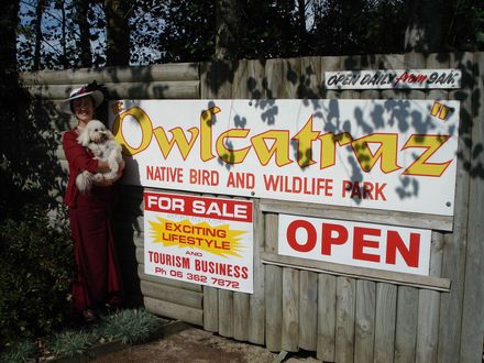 Owlcatraz - Resource cover image