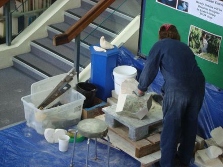 1 Beginning of a bird